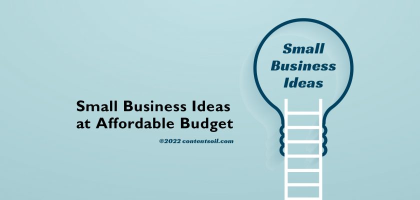Small-Business-Ideas-at-Affordable-Budget